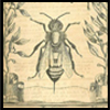 The Bees Sanctuary: l'Apiario di Avalon
